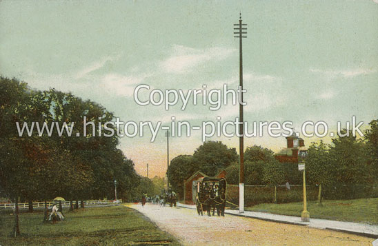 Forest Rise, Walthamstow, London. c.1908.